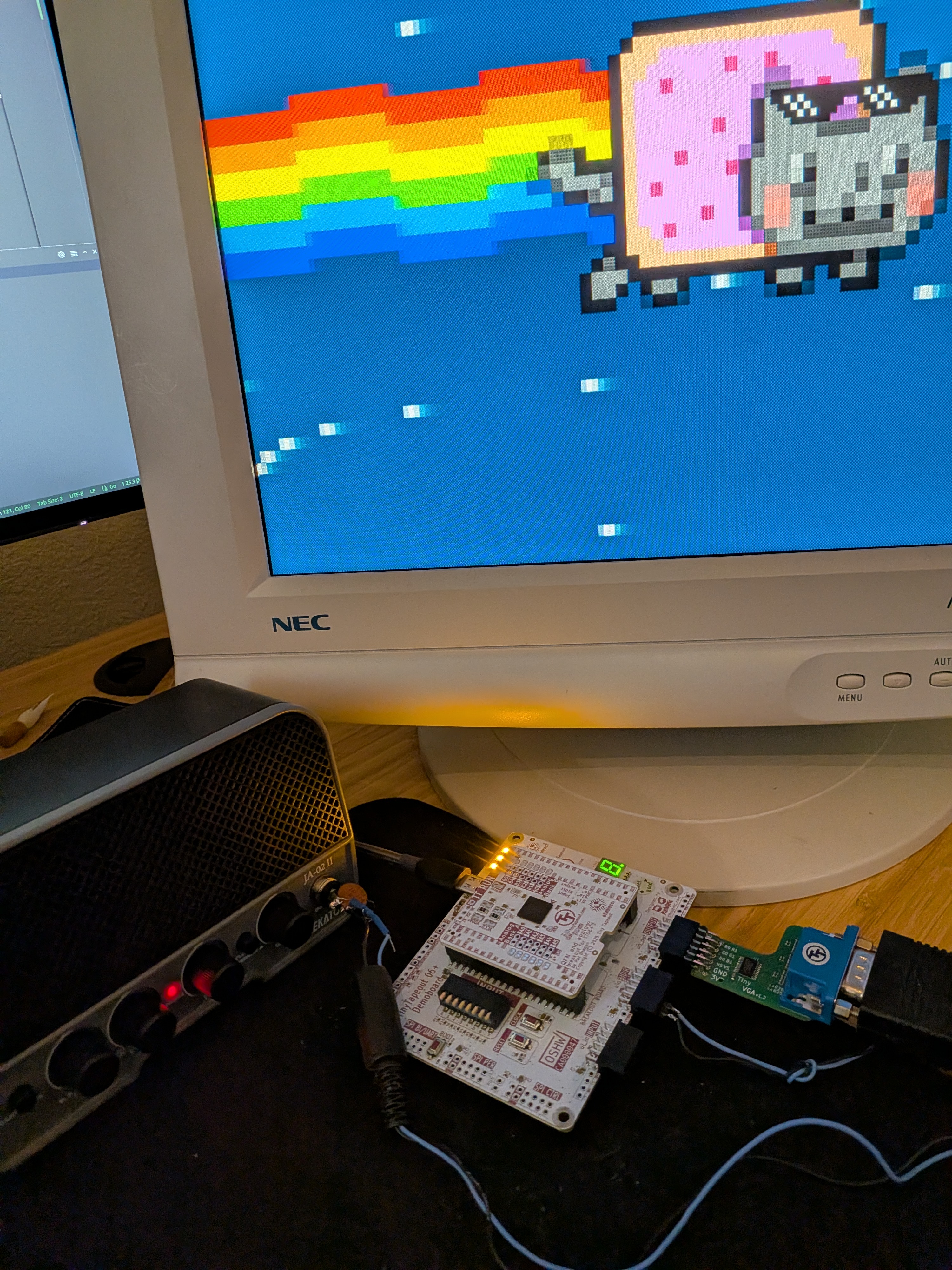 TT08 running nyan cat